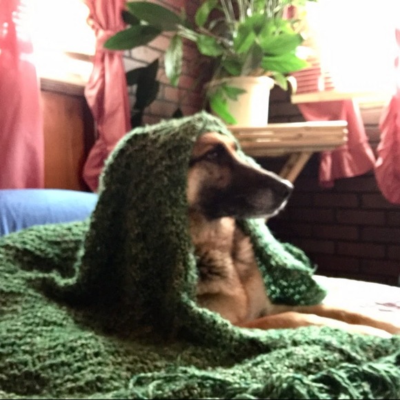 Meet your Posher, Debra - Picture 1 of 1